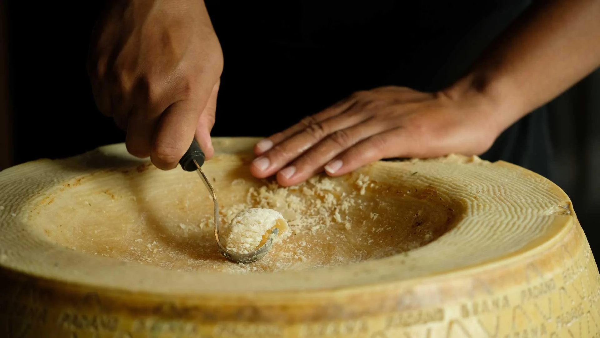 Discover Javanegra Gourmet